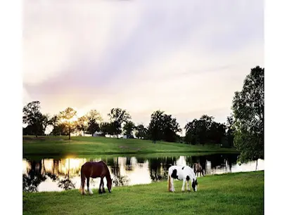 Lochow Ranch
